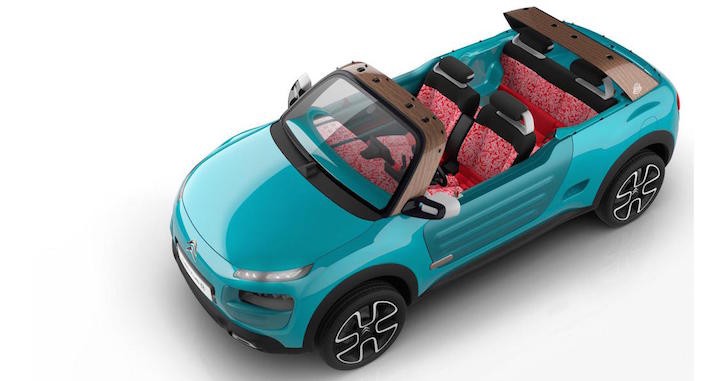 New Citroen Cactus M Concept Car Free Your Mind4