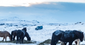 Land Rover Discovery Sport in Iceland