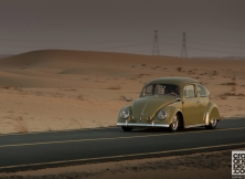 Volkswagen Beetle 03