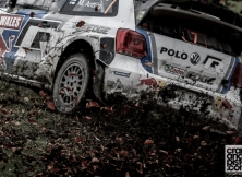 2013-world-rally-championship-rally-great-britain-28